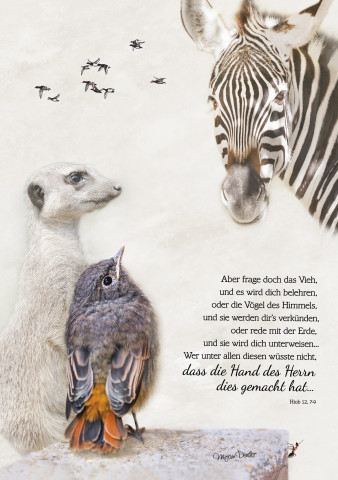Tiere